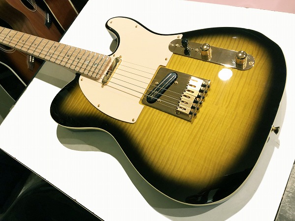 Fender Japan Exclusive Richie Kotzen Telecaster Brown Sunburst 極